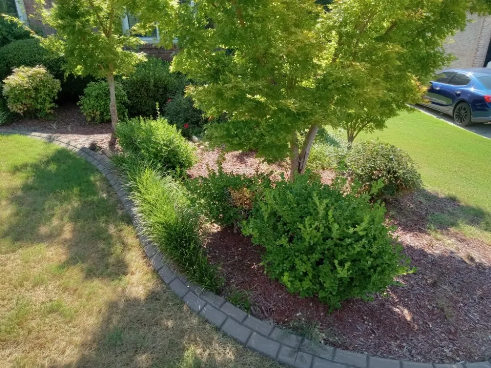 Local landscape design for residential properties across Villa Rica, GA - Muse Landscaping