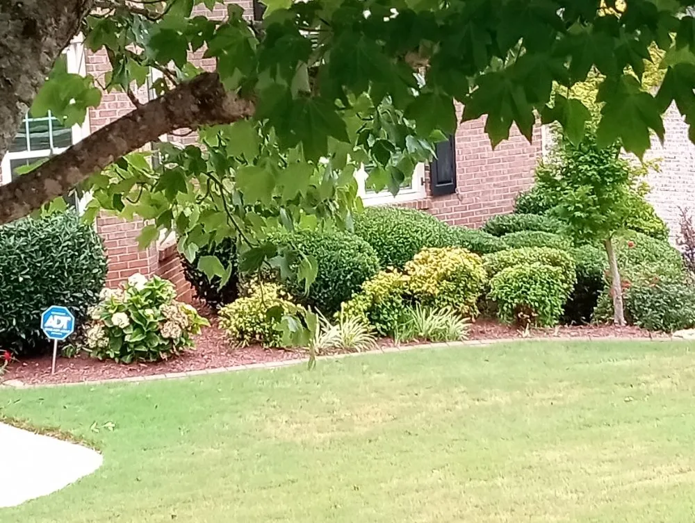 Expert lawn mowing service for year-round maintenance in Villa Rica, GA by Muse Landscaping