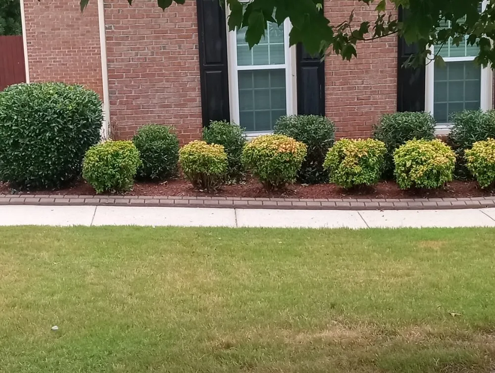 Top-rated yard maintenance experts serving Villa Rica, GA - Muse Landscaping