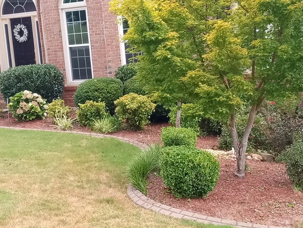 Reliable lawn care service with custom design in Villa Rica, GA by Muse Landscaping