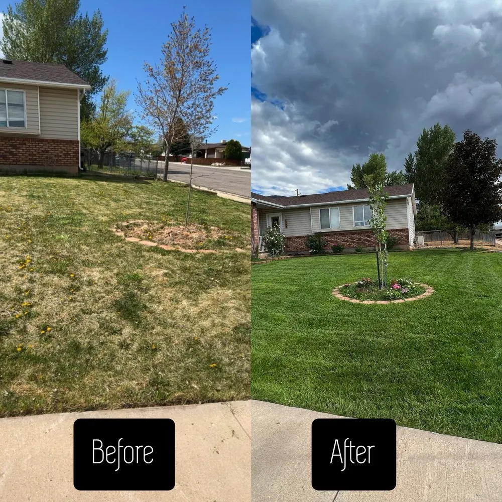 Expert landscape design experts serving Cedar City, UT - Muse Lawn Care