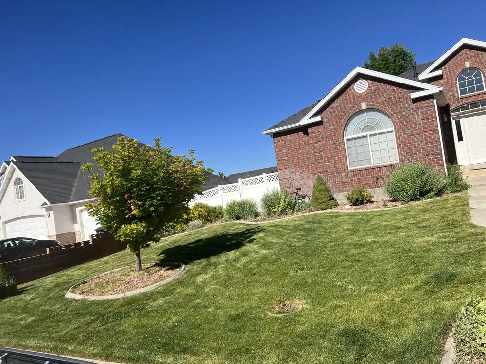 Expert yard cleanup service for year-round maintenance in Cedar City, UT by Muse Lawn Care