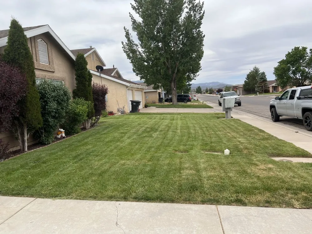 Affordable lawn care service experts serving Cedar City, UT - Muse Lawn Care