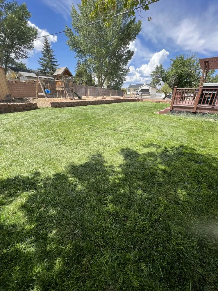 Local yard cleanup service in Cedar City, UT by Muse Lawn Care
