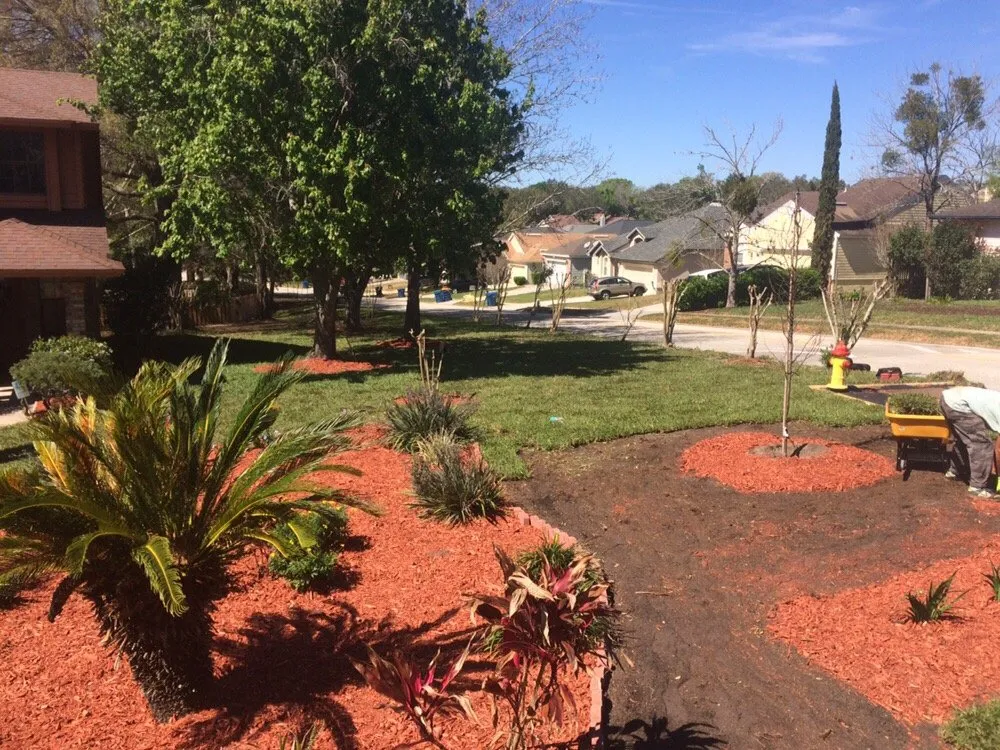 Top-rated lawn mowing service in Jacksonville Beach, FL by Musgrove Land