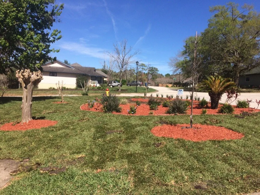 Reliable residential landscaping in Jacksonville Beach, FL - Musgrove Land