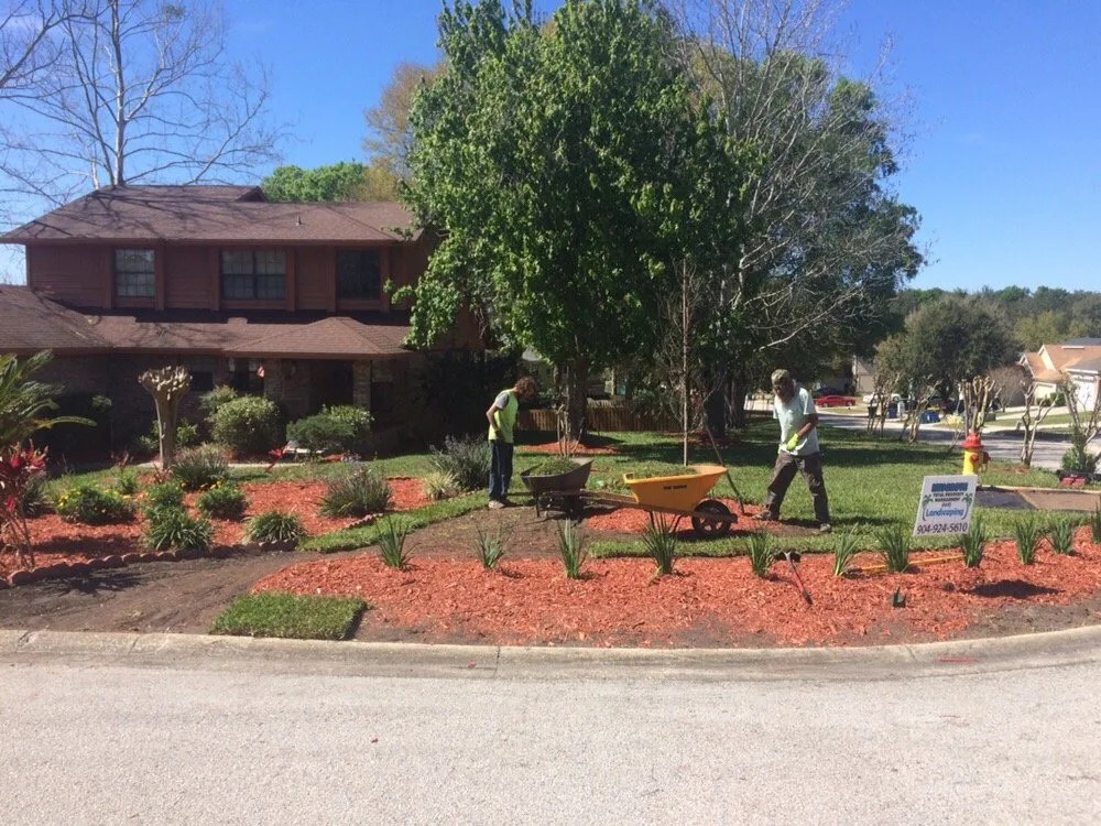 Reliable landscape installation experts serving Jacksonville Beach, FL - Musgrove Land