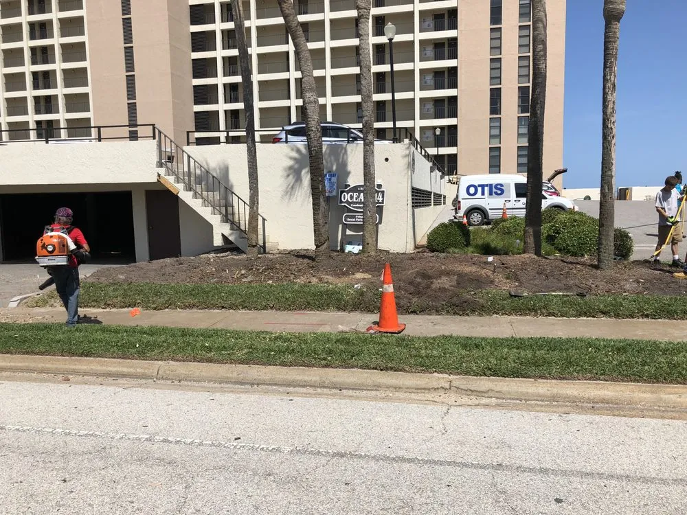 Reliable yard cleanup service in Jacksonville Beach, FL by Musgrove Land