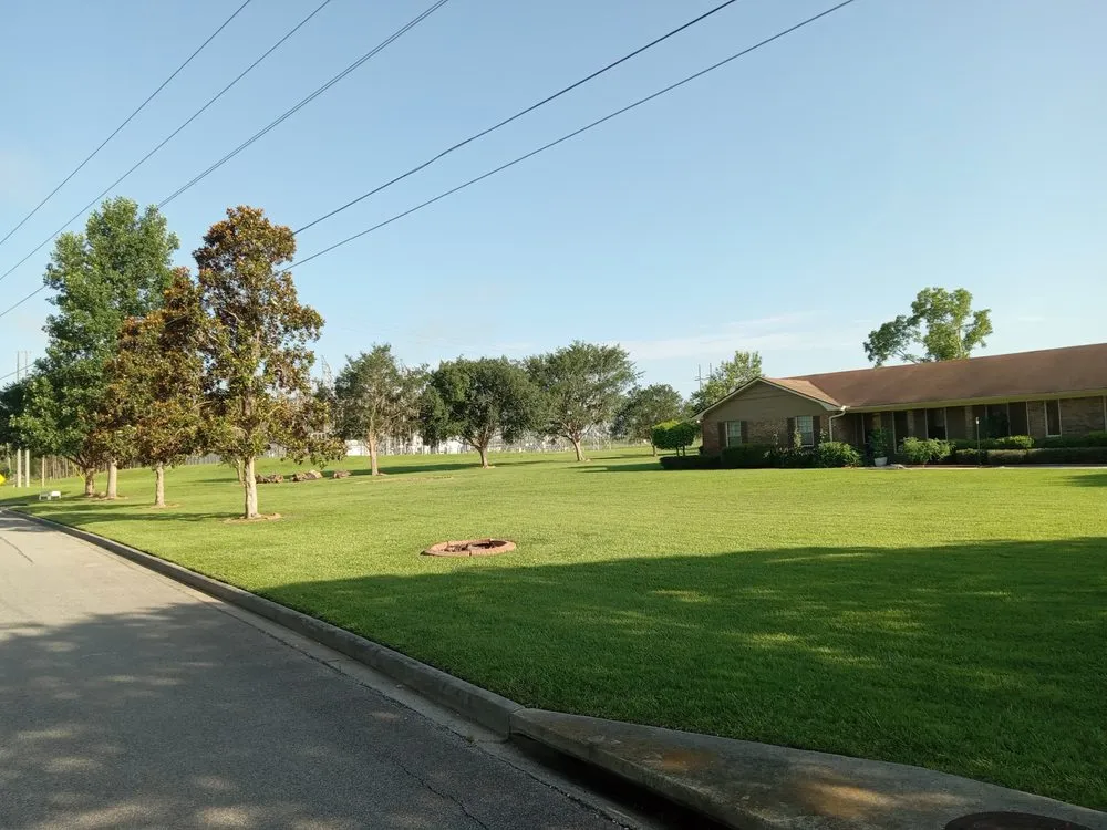 Custom outdoor landscaping in Valdosta, GA by Musgrove Solutions