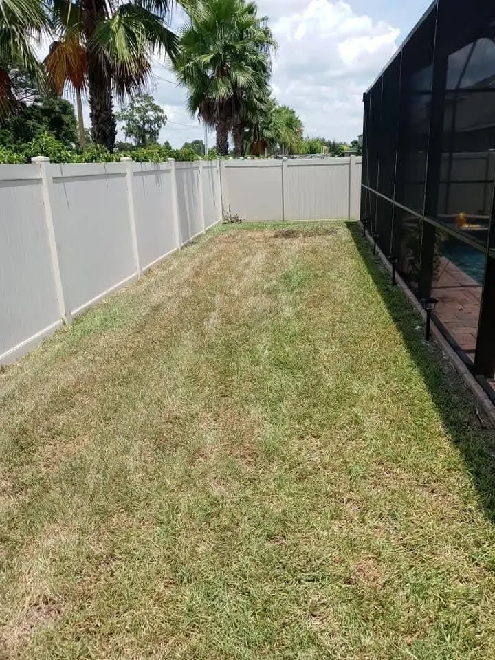 Trusted yard cleanup service in Braden River, FL - Mushroom Man Lawn Care