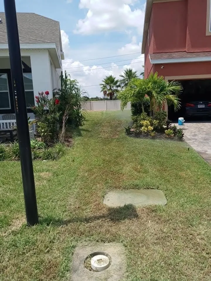 Trusted lawn mowing service in Braden River, FL by Mushroom Man Lawn Care