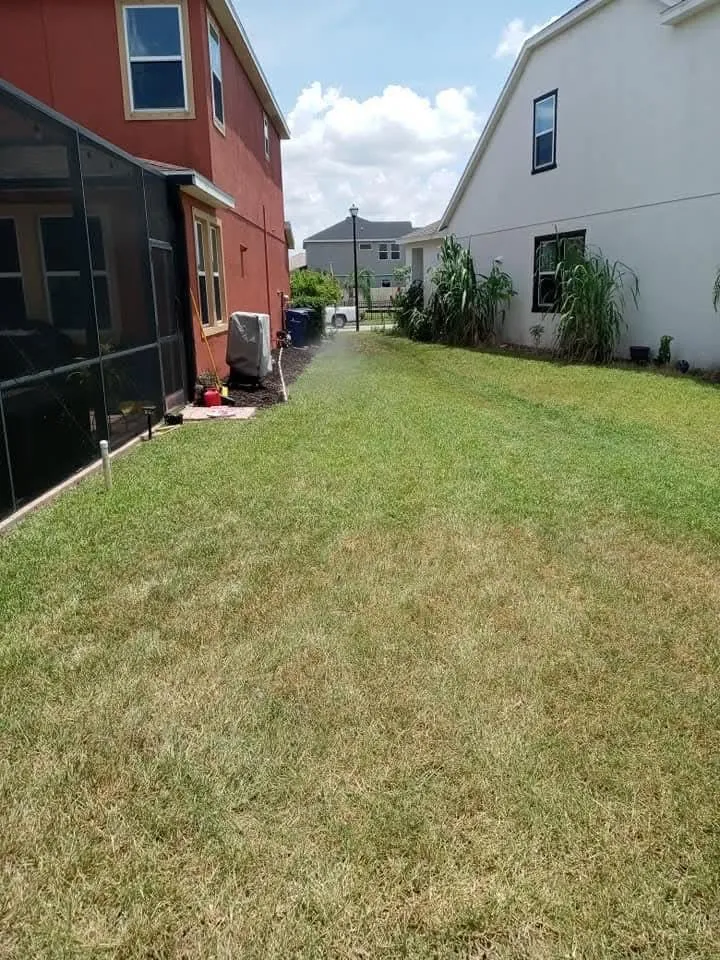 Reliable landscaping services in Braden River, FL by Mushroom Man Lawn Care