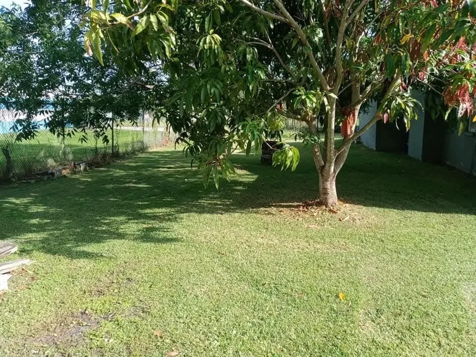 Expert landscape design experts serving Braden River, FL - Mushroom Man Lawn Care