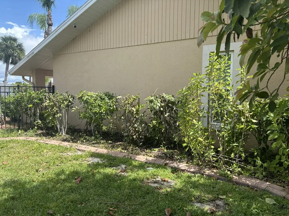 Affordable landscape design in Braden River, FL by Mushroom Man Lawn Care