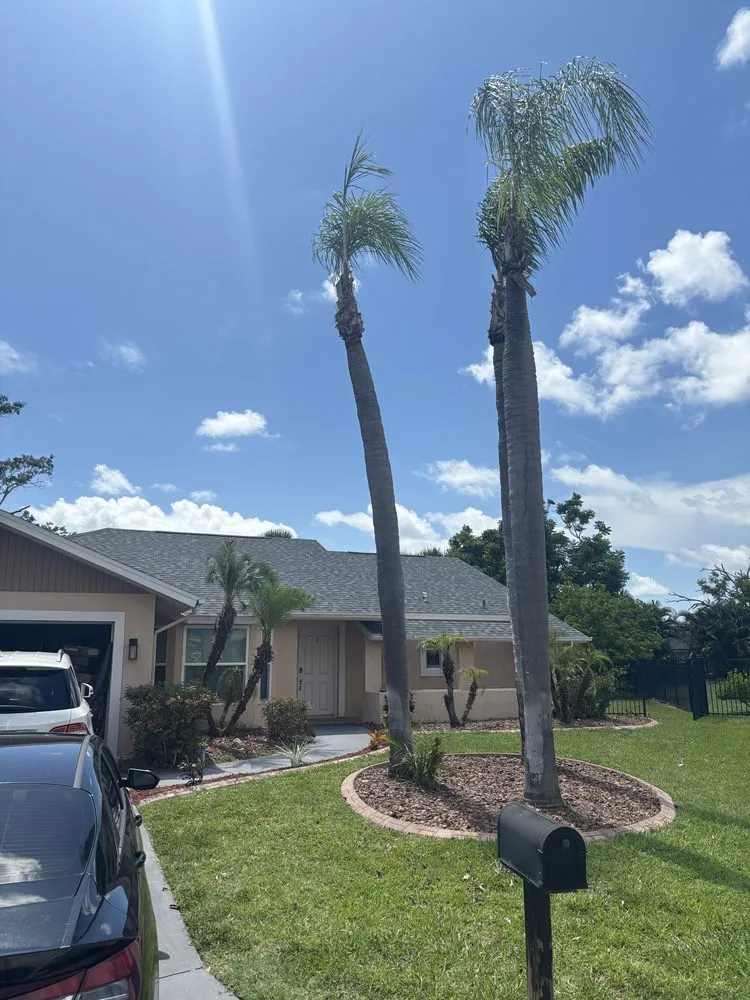 Trusted lawn mowing service for outdoor upgrades across Braden River, FL - Mushroom Man Lawn Care