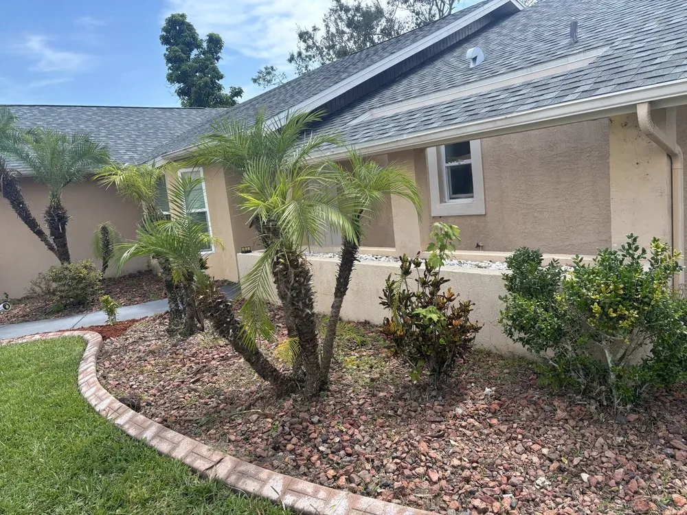 Affordable yard maintenance for residential properties across Braden River, FL - Mushroom Man Lawn Care