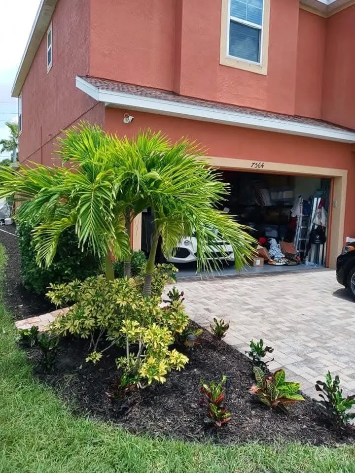 Reliable residential landscaping experts serving Braden River, FL - Mushroom Man Lawn Care