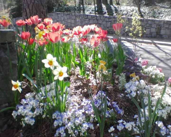 Reliable landscape design for year-round maintenance across Nashville, TN - Music City Hardscapes