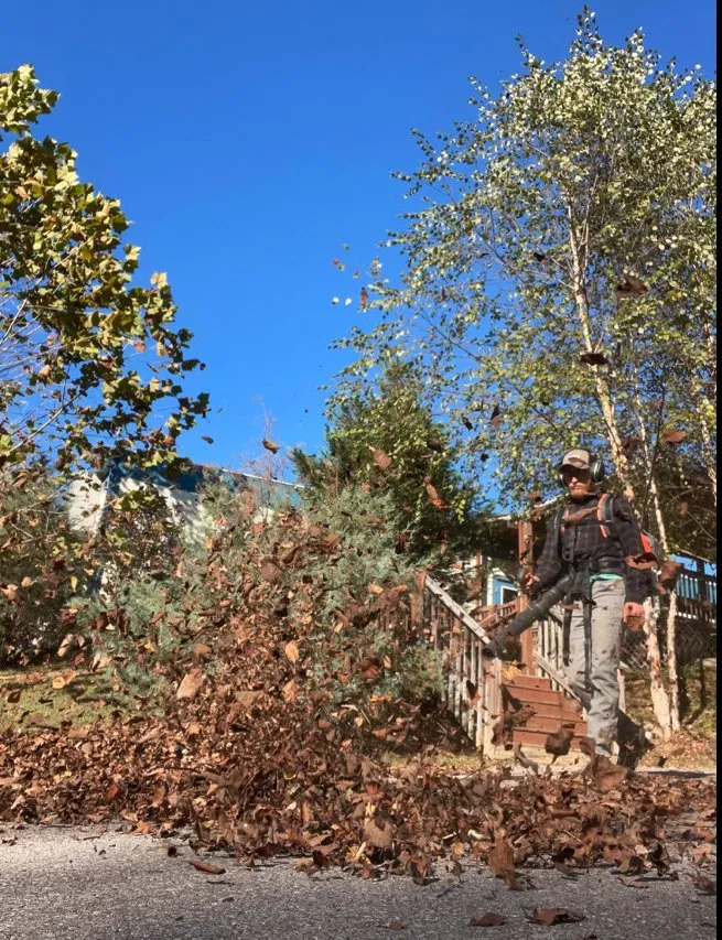 Trusted landscaping services for beautiful yards across Old Hickory, TN - Music City Landscaping