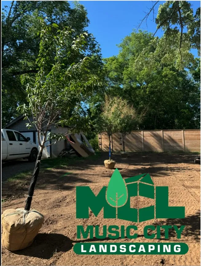 Reliable yard cleanup service with custom design across Old Hickory, TN - Music City Landscaping