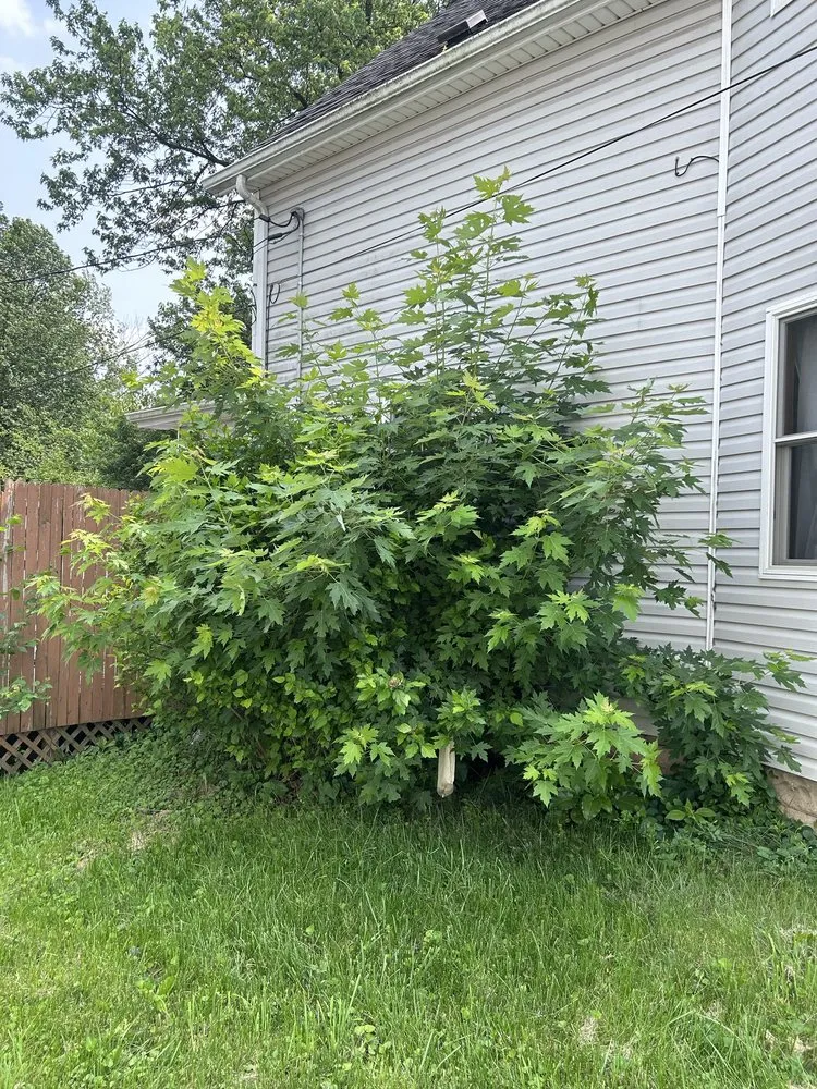 Affordable garden landscaping in Sidney, OH - Muss Mowing & Landscaping