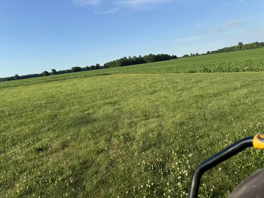 Top-rated lawn care service near you across Sidney, OH - Muss Mowing & Landscaping