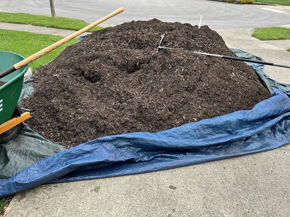 Top-rated outdoor landscaping for outdoor upgrades across Noblesville, IN - Musselman Landscape Solutions