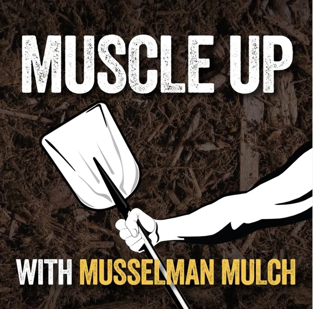 Professional lawn care service for beautiful yards across Noblesville, IN - Musselman Landscape Solutions