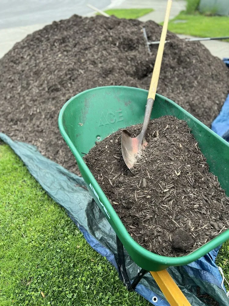 Affordable residential landscaping in Noblesville, IN - Musselman Landscape Solutions