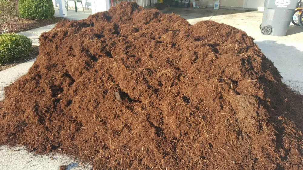 Custom yard cleanup service in Noblesville, IN by Musselman Landscape Solutions