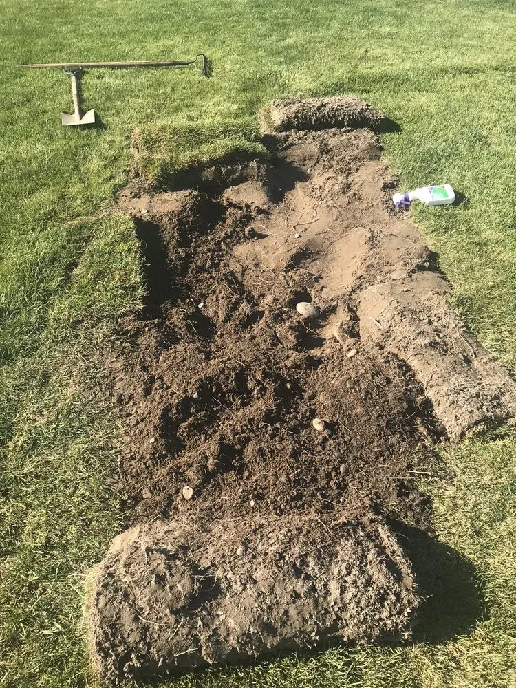 Top-rated lawn care service in Richland, WA - Musser Landscaping