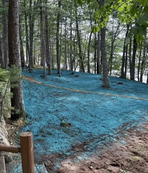 Affordable lawn care service in Land O' Lakes, WI by Musson Landscaping