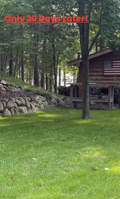 Top-rated yard maintenance in Land O' Lakes, WI by Musson Landscaping