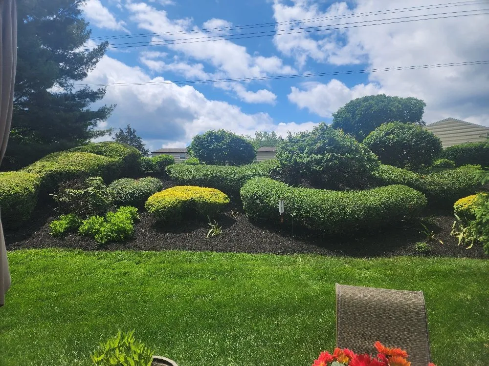 Professional outdoor landscaping for residential properties across Cincinnati, OH - Must Lawn & Landscape