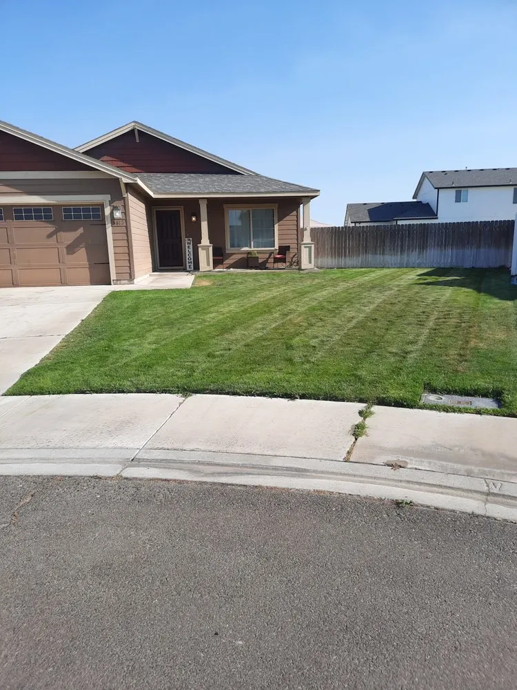 Local yard cleanup service experts serving Pasco, WA - Mustang Construction