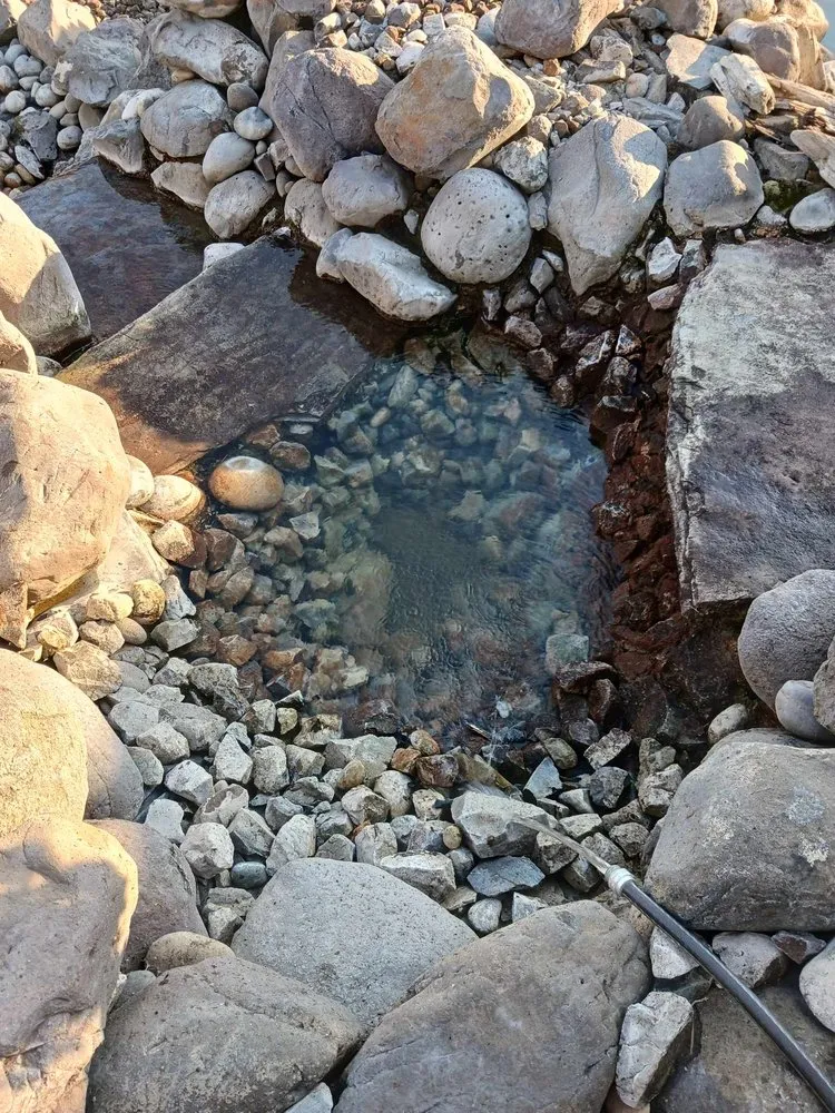 Local lawn care service in Pasco, WA - Mustang Construction