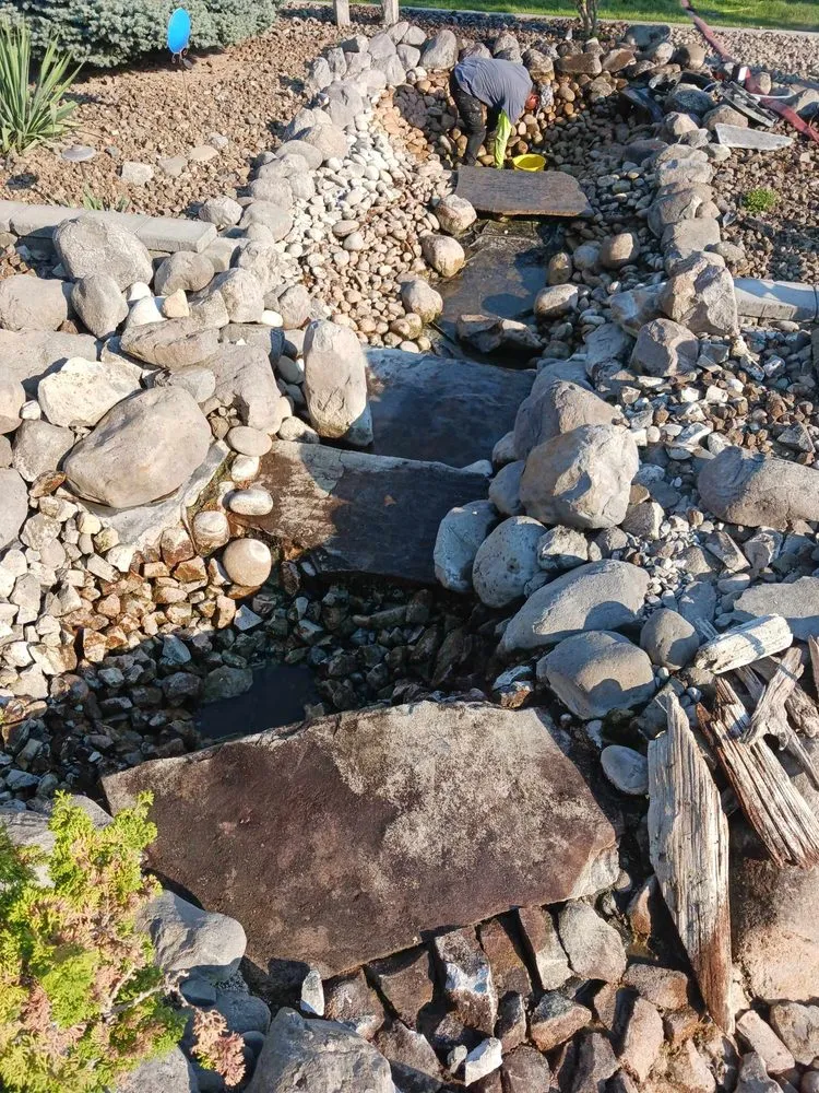 Professional yard cleanup service in Pasco, WA by Mustang Construction