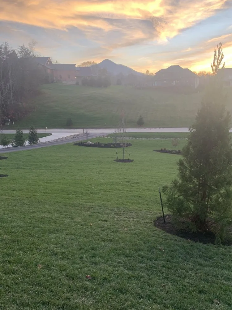 Professional yard cleanup service experts serving Five Points, NC - Mustard Seed Federal Group