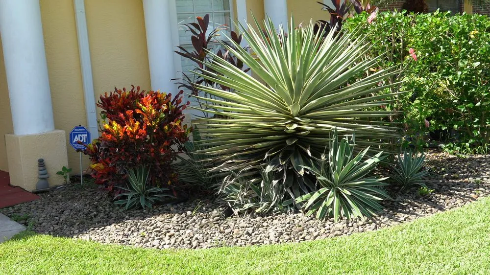 Affordable yard maintenance in Indiantown, FL by Mustard Seed Landscaping