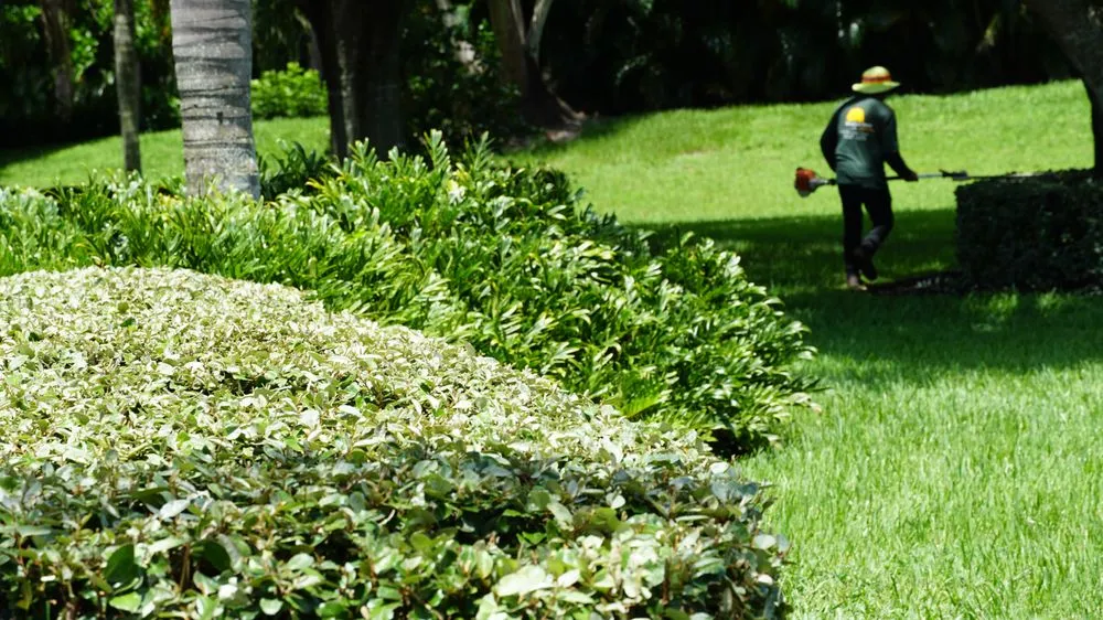 Reliable lawn mowing service in Indiantown, FL by Mustard Seed Landscaping