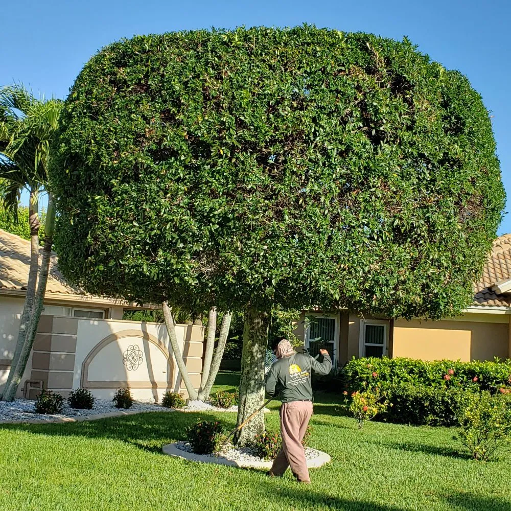 Local lawn mowing service for year-round maintenance in Indiantown, FL by Mustard Seed Landscaping