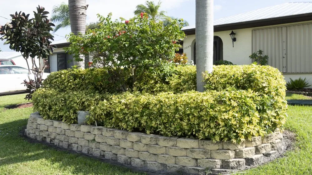 Custom yard maintenance experts serving Indiantown, FL - Mustard Seed Landscaping