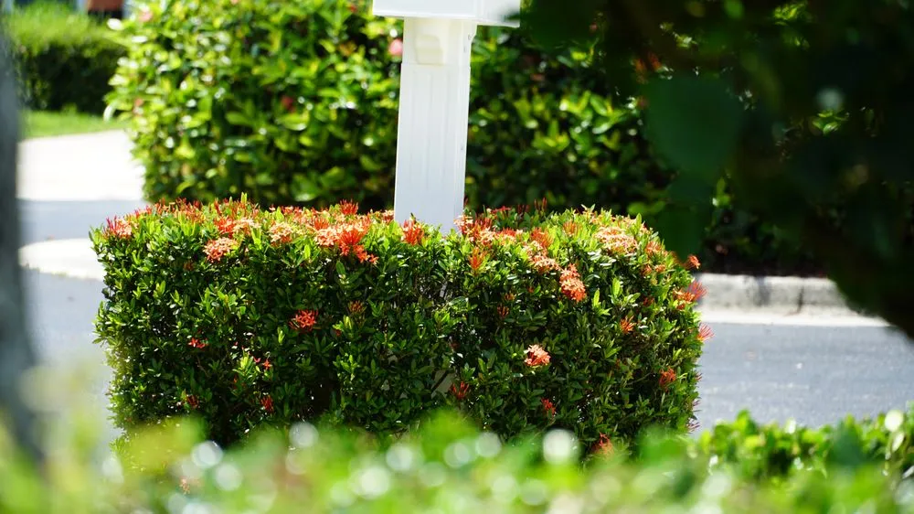 Expert landscape design with custom design in Indiantown, FL by Mustard Seed Landscaping