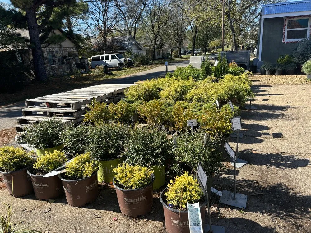 Affordable landscape design experts serving Salem, AR - Mustard Seed Nursery & Landscaping