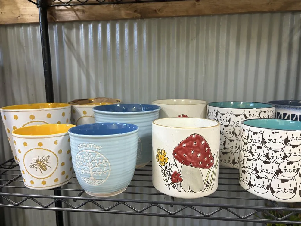 Top-rated garden landscaping in Salem, AR - Mustard Seed Nursery & Landscaping