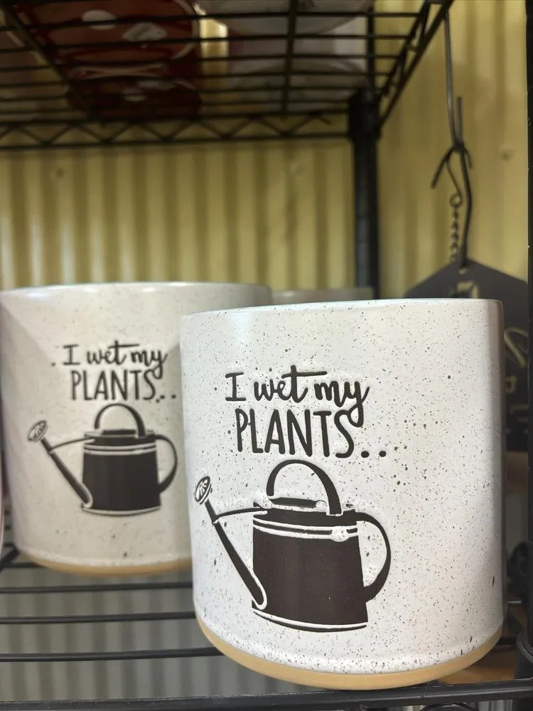 Professional outdoor landscaping near you in Salem, AR by Mustard Seed Nursery & Landscaping