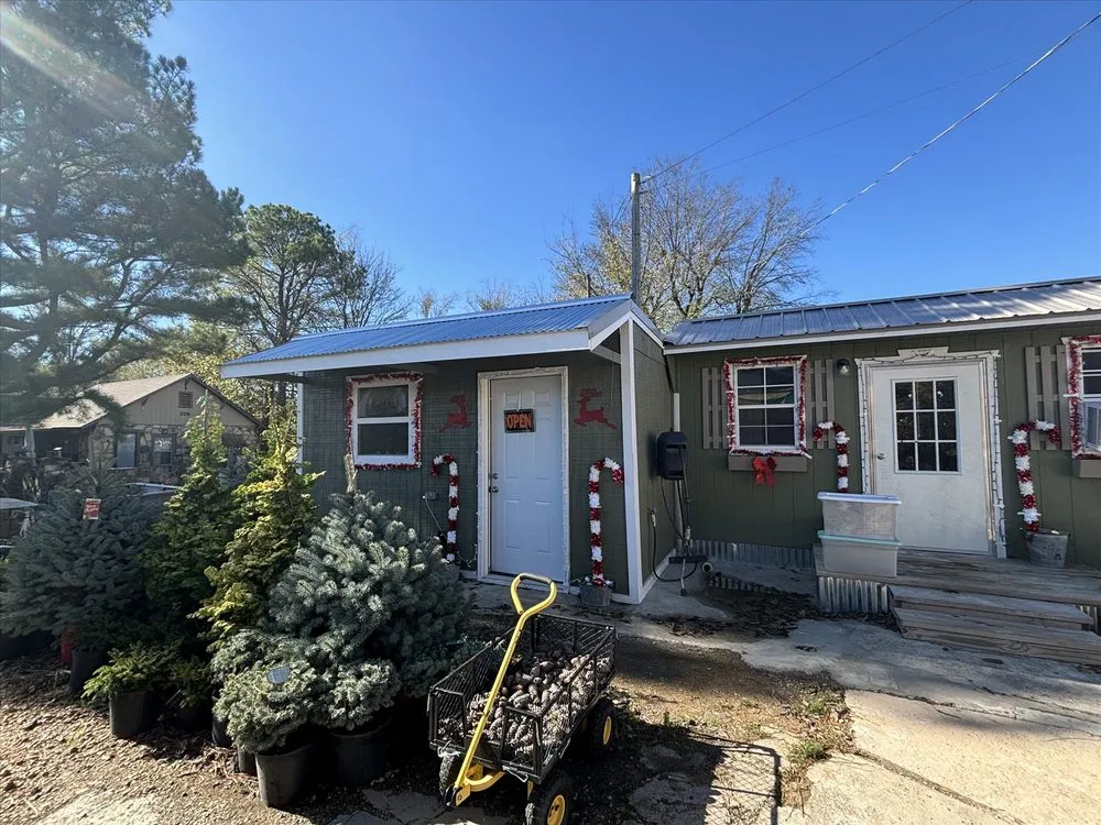 Professional outdoor landscaping near you across Salem, AR - Mustard Seed Nursery & Landscaping