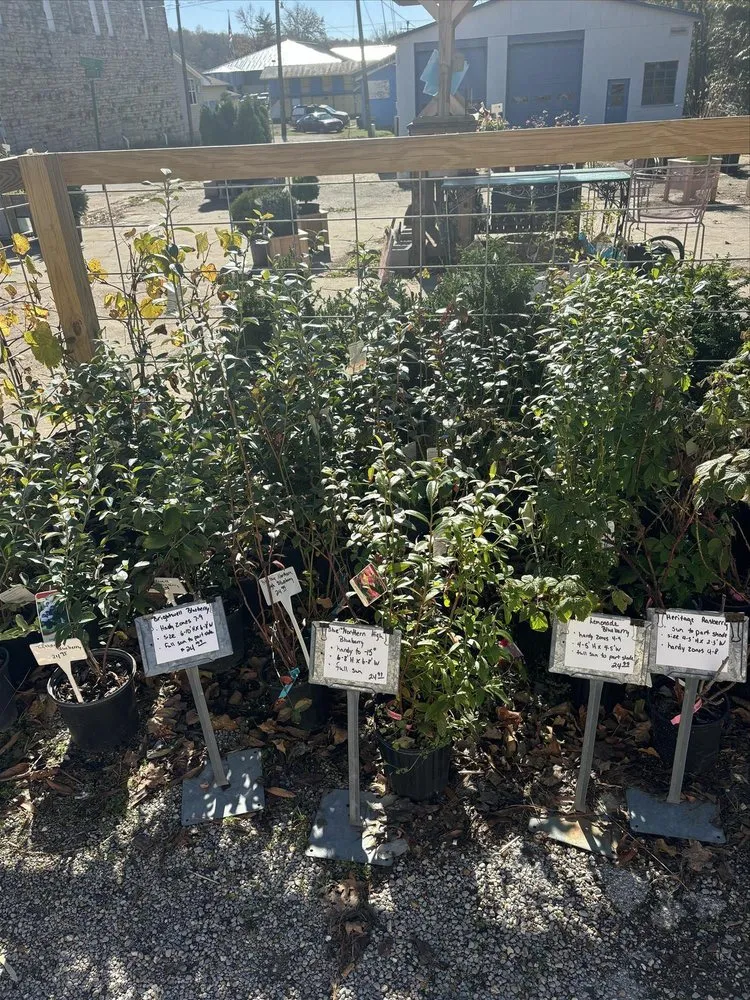 Custom lawn care service for residential properties in Salem, AR by Mustard Seed Nursery & Landscaping