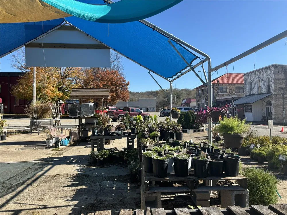 Local yard maintenance with custom design across Salem, AR - Mustard Seed Nursery & Landscaping