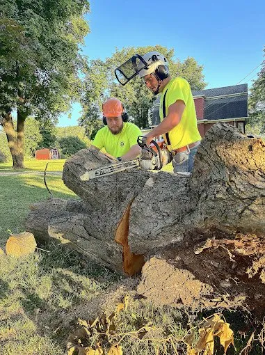 Top-rated garden landscaping experts serving Diamond Bar, CA - Muthler Landscaping